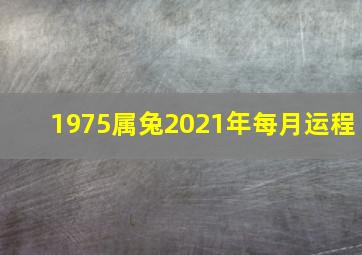 1975属兔2021年每月运程