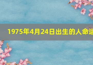 1975年4月24日出生的人命运