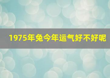 1975年兔今年运气好不好呢