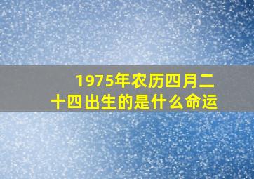 1975年农历四月二十四出生的是什么命运