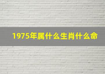 1975年属什么生肖什么命