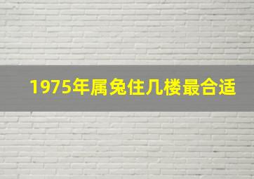 1975年属兔住几楼最合适