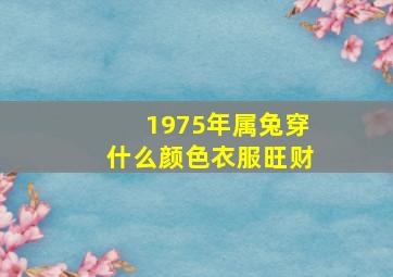 1975年属兔穿什么颜色衣服旺财