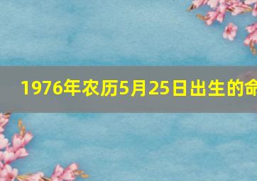 1976年农历5月25日出生的命