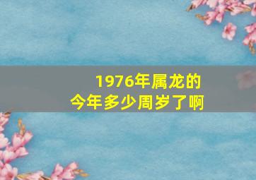 1976年属龙的今年多少周岁了啊