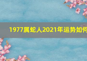 1977属蛇人2021年运势如何