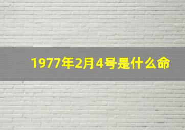 1977年2月4号是什么命