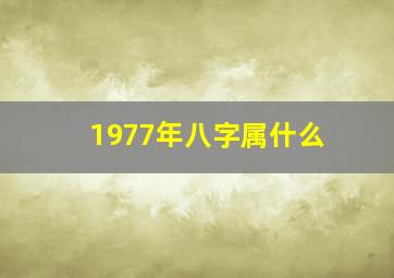 1977年八字属什么