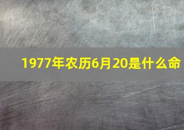 1977年农历6月20是什么命