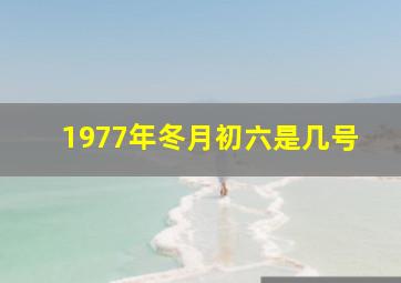 1977年冬月初六是几号