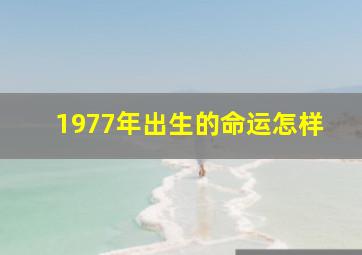 1977年出生的命运怎样