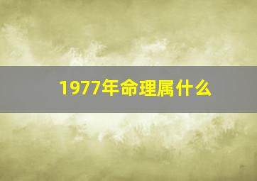 1977年命理属什么