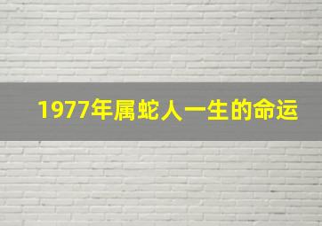 1977年属蛇人一生的命运