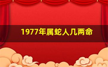 1977年属蛇人几两命