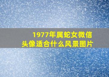 1977年属蛇女微信头像适合什么风景图片