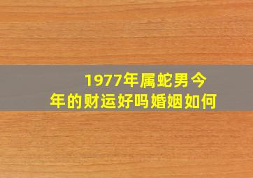 1977年属蛇男今年的财运好吗婚姻如何