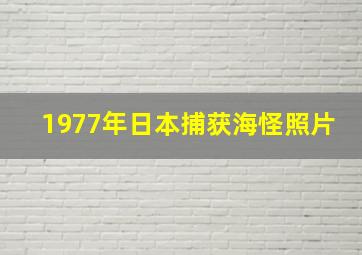 1977年日本捕获海怪照片