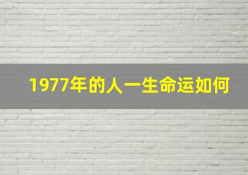 1977年的人一生命运如何