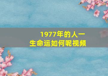 1977年的人一生命运如何呢视频