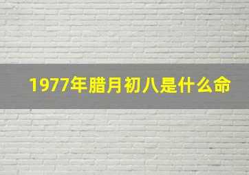 1977年腊月初八是什么命