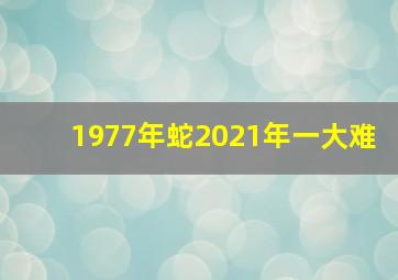 1977年蛇2021年一大难