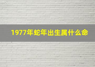 1977年蛇年出生属什么命