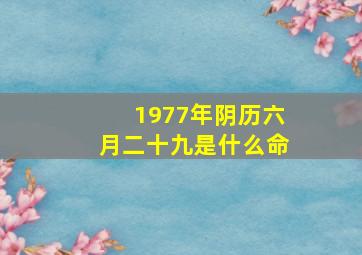 1977年阴历六月二十九是什么命