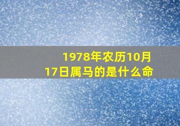 1978年农历10月17日属马的是什么命