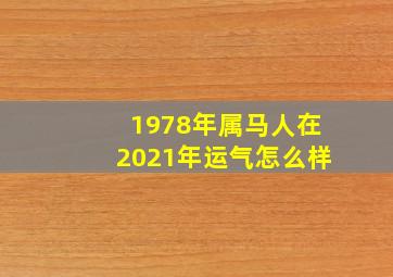 1978年属马人在2021年运气怎么样