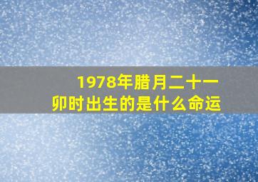 1978年腊月二十一卯时出生的是什么命运