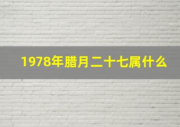 1978年腊月二十七属什么