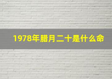 1978年腊月二十是什么命