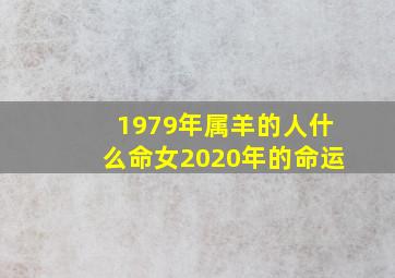 1979年属羊的人什么命女2020年的命运