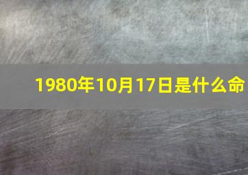 1980年10月17日是什么命