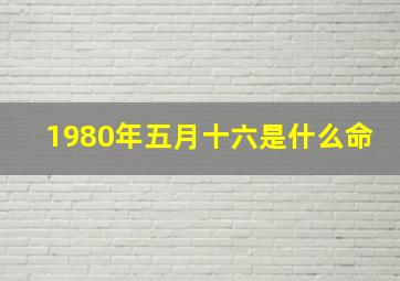 1980年五月十六是什么命