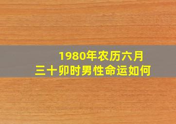 1980年农历六月三十卯时男性命运如何