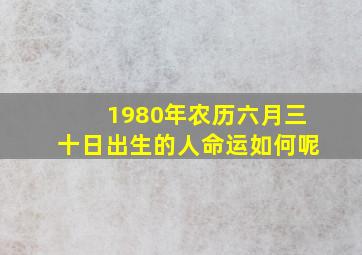 1980年农历六月三十日出生的人命运如何呢