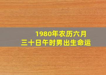 1980年农历六月三十日午时男出生命运