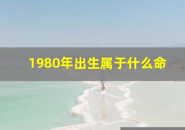 1980年出生属于什么命