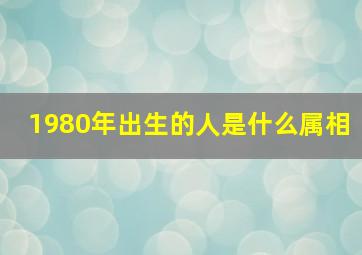 1980年出生的人是什么属相