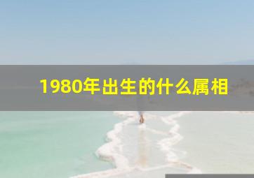 1980年出生的什么属相