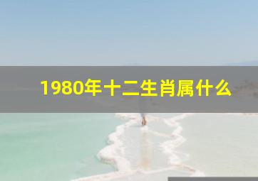 1980年十二生肖属什么