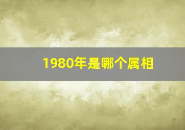 1980年是哪个属相