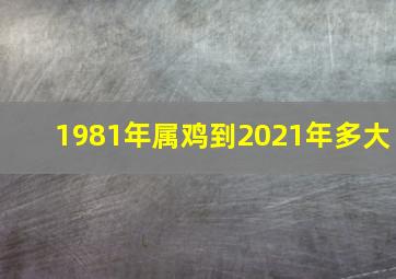 1981年属鸡到2021年多大