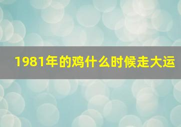 1981年的鸡什么时候走大运