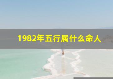 1982年五行属什么命人