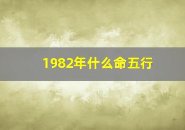 1982年什么命五行