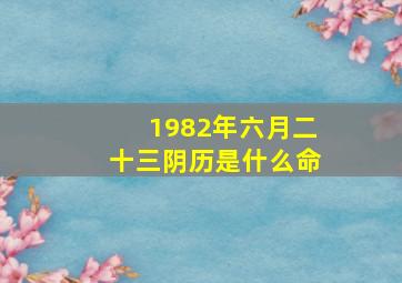 1982年六月二十三阴历是什么命