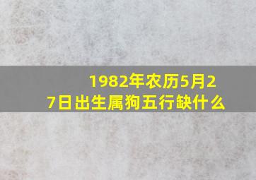 1982年农历5月27日出生属狗五行缺什么