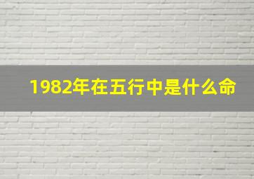 1982年在五行中是什么命